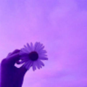 Meet your Posher, Obehi